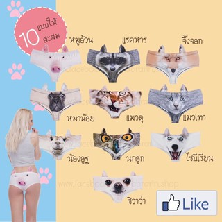 กางเกงในสัตว์โลกมุ้งมิ้ง # Animal Panty🐷 แฟชั่นสุดเก๋ไม่ซ้ำใคร Details Product (U-3941 )