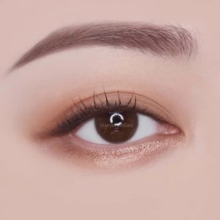 🔥คอนแทคเลนส์✨ขนาดมินิ✨Brown/Gray/Black ✨Mini soff (kittykawaii)
