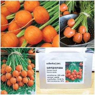 เมล็ดพันธุ์ แครอทกลม (Parisian Carrot Seed) บรรจุ 400 เมล็ด คุณภาพดี ราคาถูก ของแท้ 100%