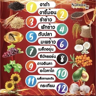 12 Mix oil น้ำมันสกัดเย็น 12 ชนิด แบรนด์เนเจอร์ น้ำมันรำข้าว งาดำ ดาวอินคา น้ำมัตมะพร้าว อะโวคาโด้