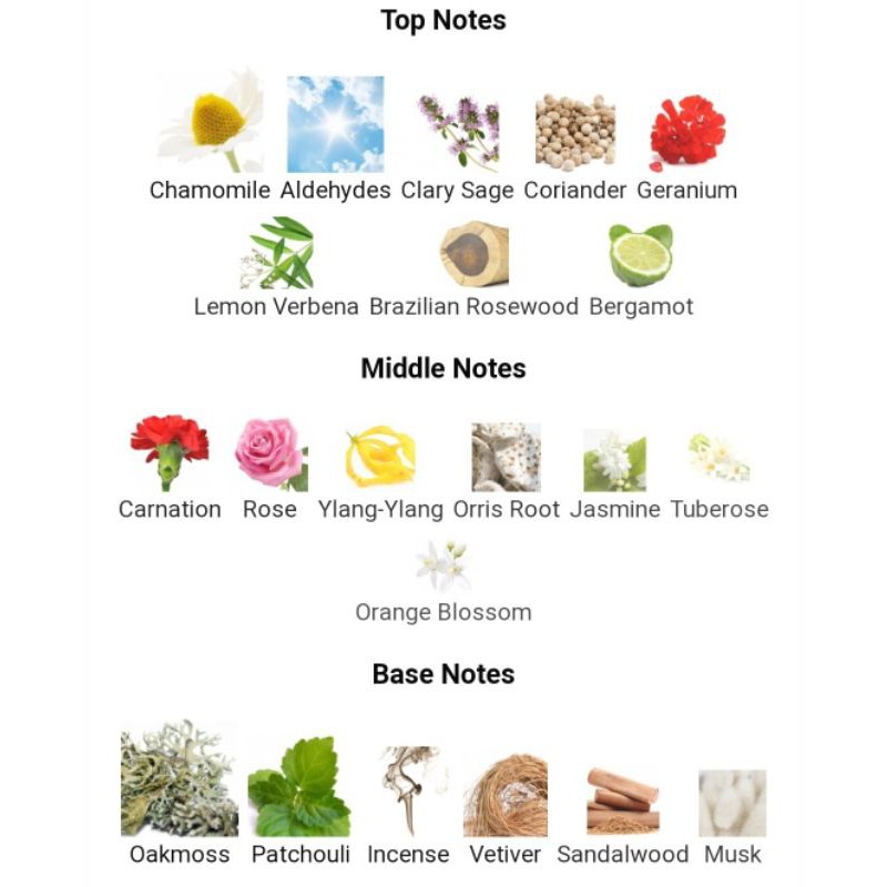 Clinique Aromatics Elixir Perfume Spray 🇺🇲 100ml new in box - รูปที่ 5