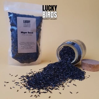 ไนเจอร์ niger seed ธัญพืชสำหรับนก นกแก้ว สัตว์เลี้ยง LUCKY BIRDS ขนาด 100g และ 250 กรัม