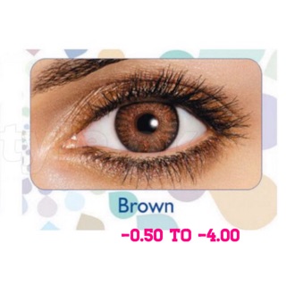 SHOP120 ลด120฿ Freshlook Colorblends สีBrown สายตา-0.50 ถึง -4.25