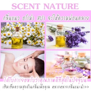 ฟุ้งสบายไม้หอม40ml ก้านไม้หอมปรับอากาศ หอมที่สุด (ร่วมโปร ถ้าซื้อ3จะแถม 1 แผ่นหอม)