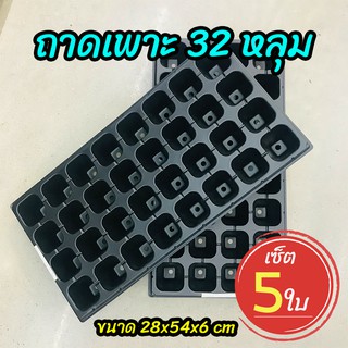 (เซ็ต 5 ใบ) ถาดเพาะ 32 หลุม ถาดเพาะชำ ถาดเพาะกล้า ถาดเพาะเมล็ด (Seed Tray)