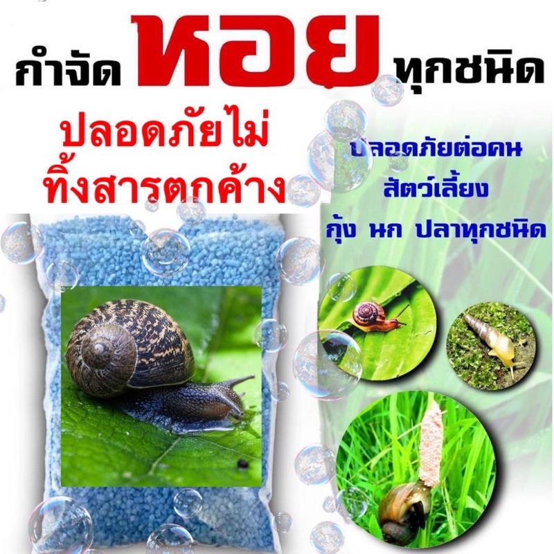 เหยือกำจัดหอยทากหอยทากกินใบหอยทากในแปลงผักขนาด100กรัม ราคา ถูกที่สุด ดีลบีเคเค รูปภาพหลัก