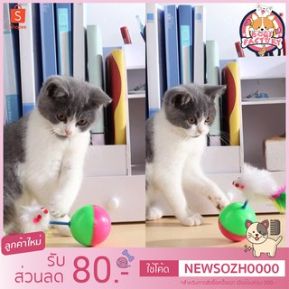 Boqi Factory ของเล่นแมว ลูกบอลล้มลุก ลูกบอลหนูล้มลุก พร้อมส่ง  TT-02