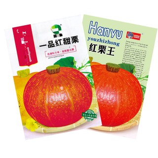 เมล็ดฟักทองญี่ปุ่นผิวส้ม 20 - 25 เมล็ด  Orange Japanese Pumpkin  สายพันธุ์ OP