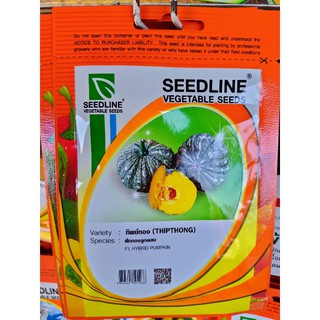 เมล็กผัก คัดพิเศษ ตรา SEEDLINE (ซื้อ 10 แถม 1)