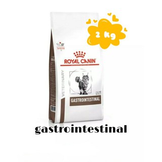 Royal Canin  GastroIntestinal  Cat  2 kg อาหารแมว ประกอบการรักษาโรคระบบทางเดินอาหาร ถ่ายเหลว