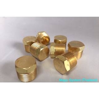 ปลั๊กอุดทองเหลือง ข้อต่อทองเหลือง Hex Plug Brass