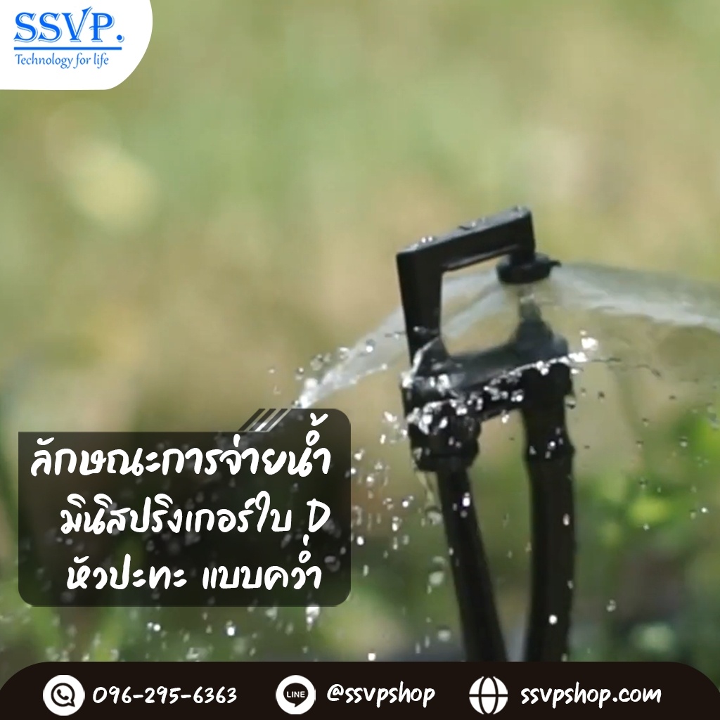 มินิสปริงเกอร์ใบ D เสียบท่อ พร้อมข้อต่อในตัว (น้ำละเอียด) รูปที่ 5
