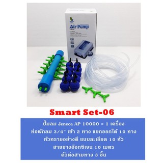 ชุดปั๊มลม Jeneca AP 10000 พร้อมอุปกรณ์ SMART SET 06