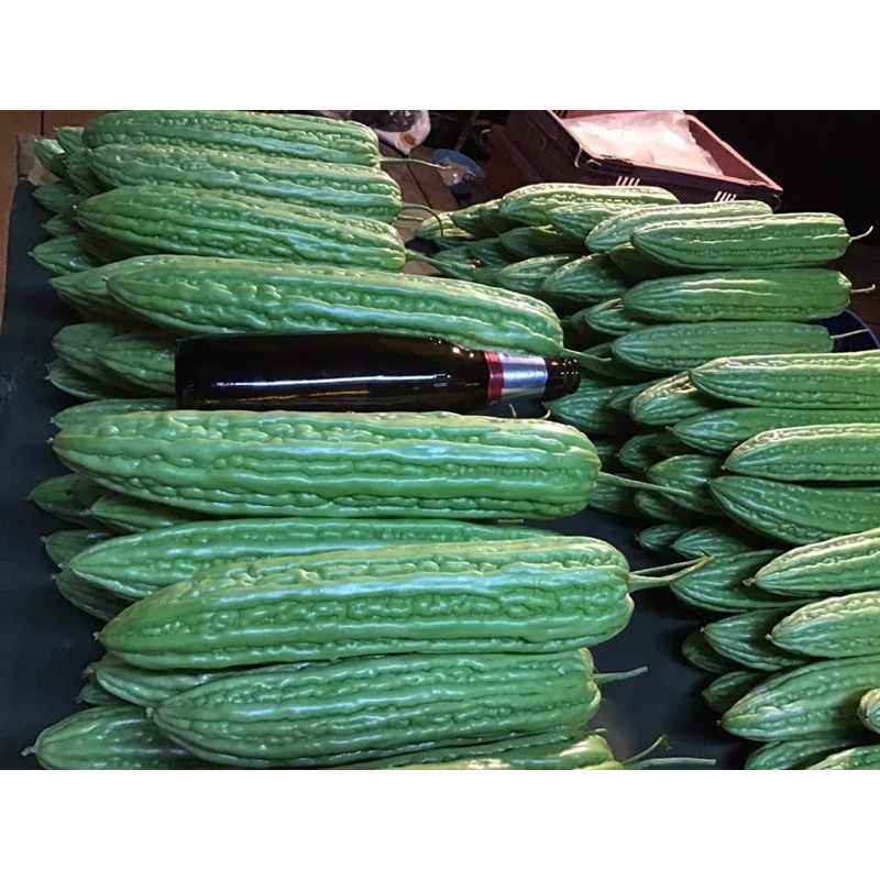 ถุงห่อมะระ 6*21  1,00 กรัม มีประมาณ 180 ใบ สีขาวขุ่น กันแดด นำกลับมาใช้ใหม่ได้หลายครั้ง มีรู 3 จุด - รูปที่ 5