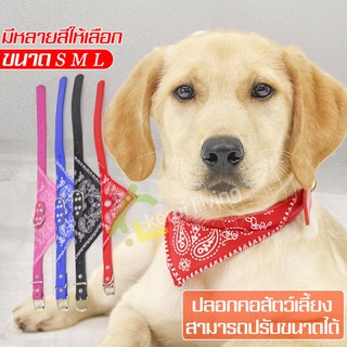 ปลอกคอ collar ทรงสามเหลี่ยม ปลอกคอสุนัข ปลอกคอสัตว์เลี้ยง Pet collar ปลอกคอแมว ผ้าพันคอแมว ผ้าพันคอหมา