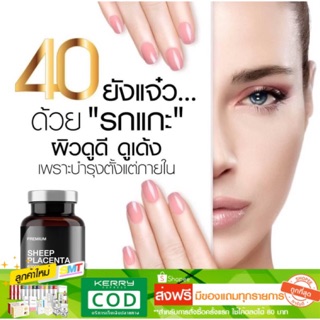 รกแกะแท้ โดสสูง 60000 mg. จากออสเตเรียช่วยแก้ปัญหาผิวคล้ำเสีย