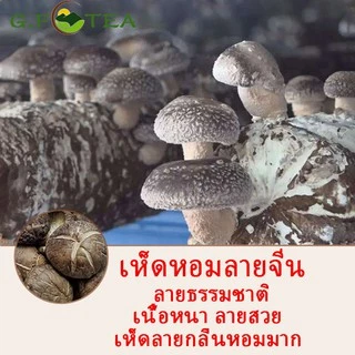 เห็ดหอมแห้ง 100g เห็ดหอมลายจีน เห็ดหอมจีนธรรมชาติ เห็ดหอมเกรดAAA ไซส์กลางNo.4，NO.5 เห็ดหอมเจ อบแห้งธรรมชาติ 香菇