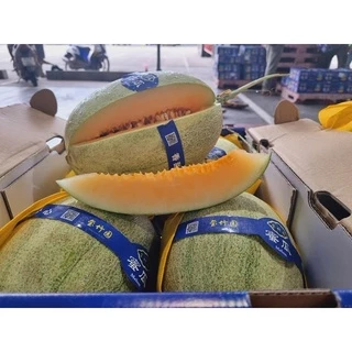 🍈แตงทิเบต ฮามิกัว เมล่อน (1ลูก)