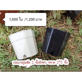 1,000 ใบ กระถางสี่เหลี่ยมมุมตัด 2 นิ้ว สีขาว