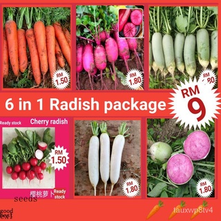 P7 (6 in 1) เมล็ดแครอท6ชนิดใน1ซอง/ชุดเมล็ดหัวไชเท้า6 in 1//เมล็ดผัก vagetable เมล็ดพันธุ์พืช seeds