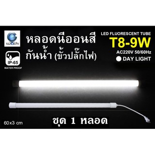 IWACHI หลอดนีออนสี ขั้วกันน้ำ พร้อมปลั๊กเสียบ รุ่นใหม่ LED T8 9W สีขาว