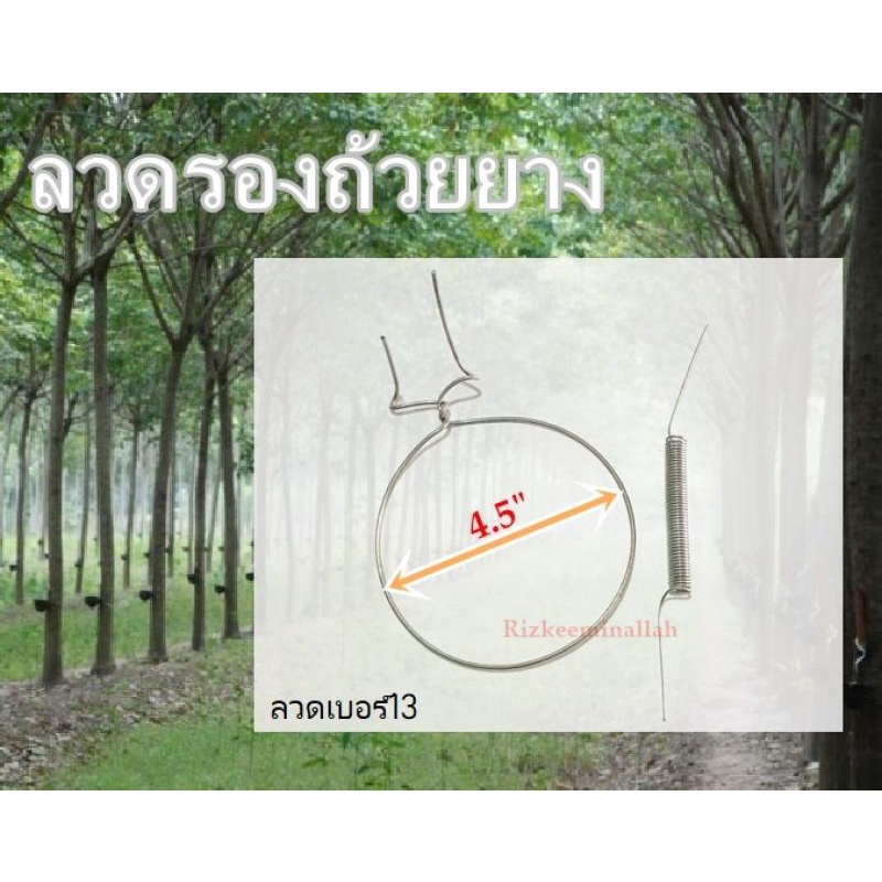 ลวดรองถ้วยยาง ลวดรัดต้นยาง ลวดยางพารา 4.5″,5″ (100ชุด/แพ็ค)