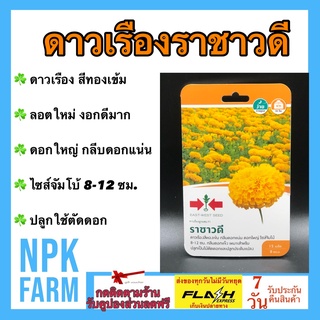 ผักซอง ศรแดง ดาวเรือง ราชาวดี จำนวน 15 เมล็ด ลอตใหม่ งอกดี ปลูกง่าย ตัดดอก ประดับแปลง สีทองเข้ม ไซส์จัมโบ้ 12 ซม.