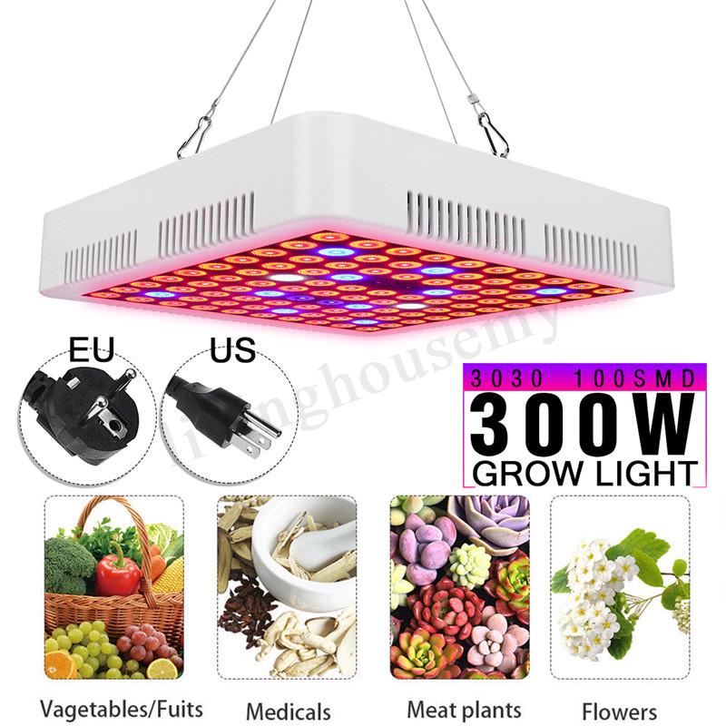 โคมไฟปลูกพืชดอกไม้ 300 W LED