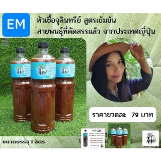 EM หัวเชื้อจุลินทรีย์