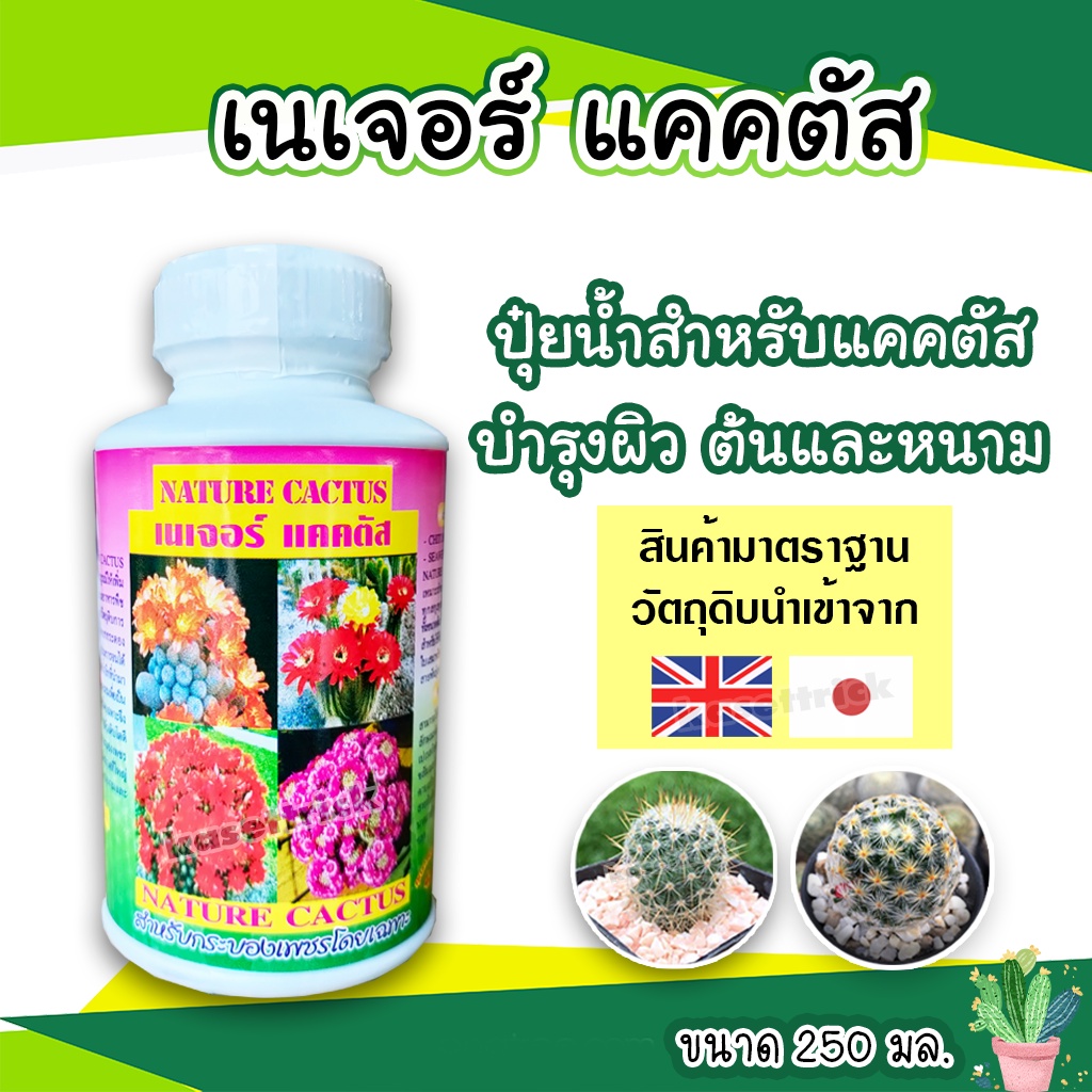 Nature Cactus เนเจอร์แคคตัส ปุ๋ยกระบองเพชรแบบน้ำ ปุ๋ยแคคตัส 250cc (ขวดขาวฉลากชมพู)