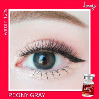 Peony gray พร้อมส่งค่าสายตา (lovelylens)
