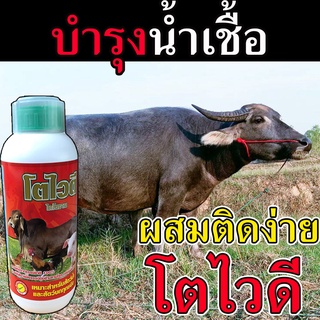 🛒ของแท้ ส่งในไทย🛒 (เห็นผลดี)ยาควายเร่งผสมพัน 1 ลิตร วิตามินบำรุงระบบสืบพันธุ์วัว  ยาบำรุงระบบสืบพันธุ์วัว โตไวดี