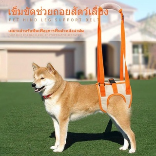 Redbean สายรัดพยุงสําหรับสุนัข（ขายล่วงหน้า）