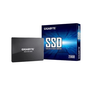 SSD 256 GB (เอสเอสดี 256 GB) Solid State Drive 2.5 GIGABYTE (GP-GSTFS31256GTND) ประกัน 3 ปี