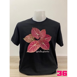 เสื้อยืดคอตตอนลายบอนสีรามเกียรติ์แบบที่36