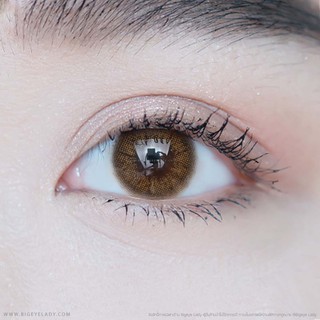 Alena Limited (Brown) ค่าสายตา 0.00-6.00 คอนแทคเลนส์