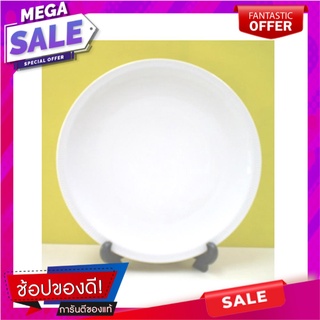 จาน PORCELAIN ตื้น 8.25" ROYAL PORCELAIN WHITE WARE อุปกรณ์ใส่อาหาร PORCELAIN FLAT PLATE 8.25" ROYAL PORCELAIN WHITE WAR