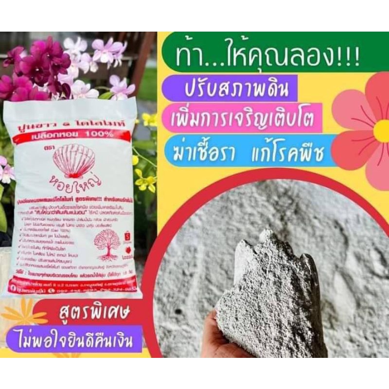 ปูนขาวเปลือกหอยผสมโดโลไมท์ 10 ถุงแถมอีก 5 รวม 15 ถุง 295บาท ถุงละ 1กก สูตรเฉพาะเพื่อต้นไม้ที่สวยงาม1 kg