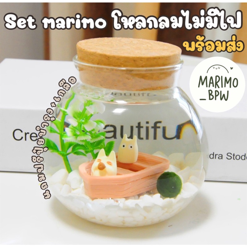 พร้อมส่ง set marimo โหลกลมไม่มีไฟ