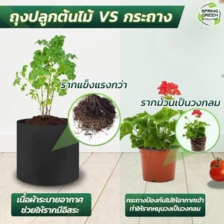 กระถางผ้าปลูกต้นไม้ รุ่น GB ถุงผ้าปลูกต้นไม้ ถุงปลูกต้นไม้ ของแท้จาก SGE