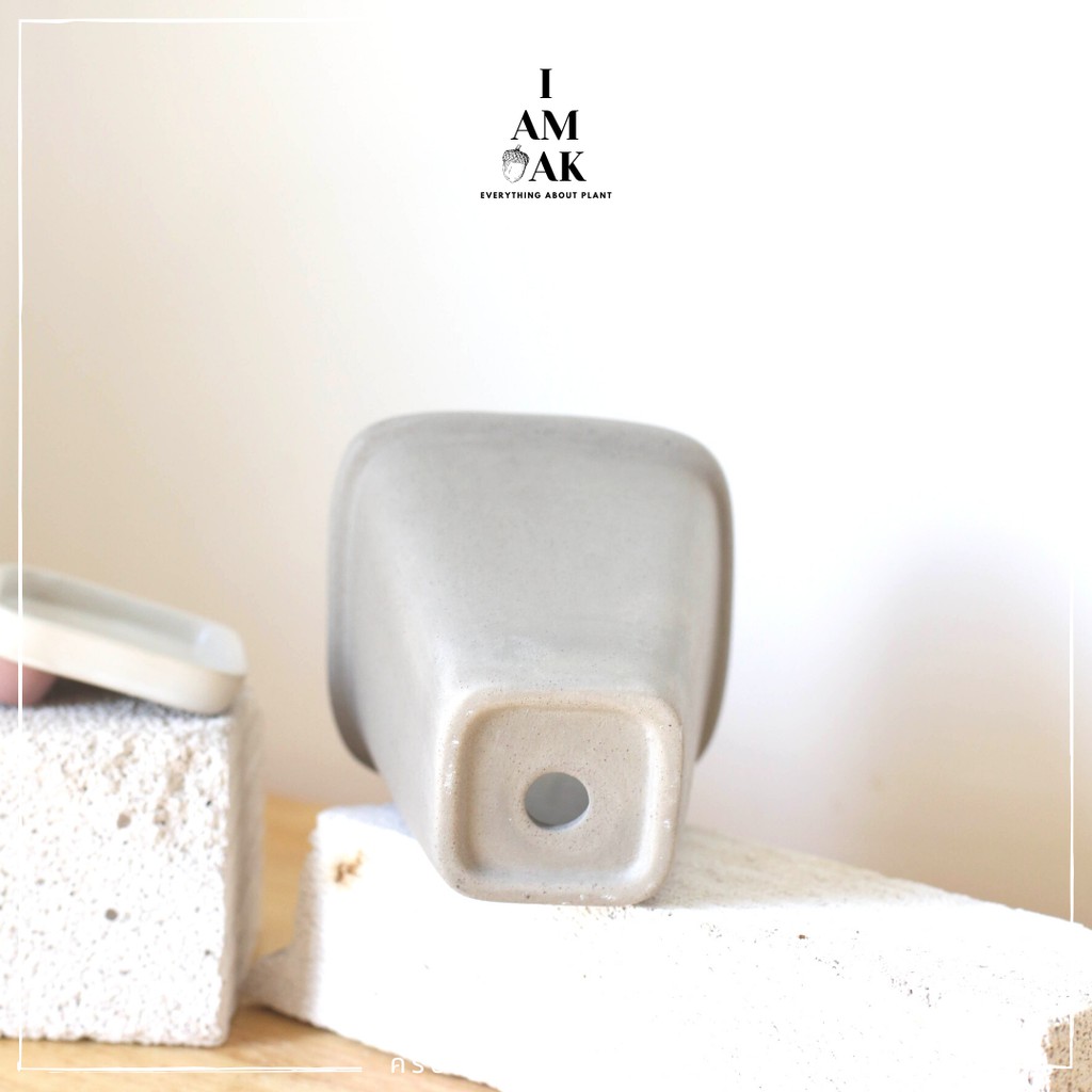 มุมมอง 3