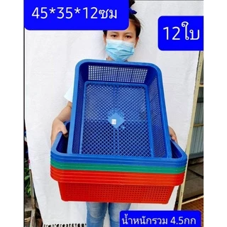 12ใบ ขนาดในรูปครับ กระบะพลาสติก ตะกร้าพลาสติก ตะแกรง ถาดปลูกผัก ตะกร้าใส่ของ ถาดเพาะถั่วงอก ตะแกรงใหญ่