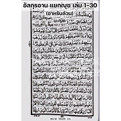 อัล-กุรอาน อาหรับล้วน แยกญุซ 30 เล่มมี 2 แบบ (มะญีด, อุษมานี)(ขนาด 19×26 cm, ปกอ่อน, กระดาษขาว, 549 หน้า ฟรี!! พร้อมก ราคา ถูกที่สุด ดีลบีเคเค แกลเลอรีภาพที่ 5