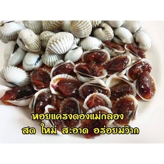 (พร้อมส่ง) หอยแครงดองน้ำปลากวน สูตรแม่กลอง (ขนาด 700 กรัม) รสชาติเค็มหวาน กำลังดี หอยแครงดอง หอยแครง ของฝาก แม่กลอง