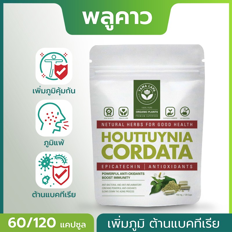 พลูคาว แคปซูล (Plu Kaow) เพิ่ม ภูมิคุ้มกัน ยับยั้งเชื้อจุลินทรีย์ ยับยั้งอนุมูลอิสระ (Yama Lapa) ยามา ลาภา