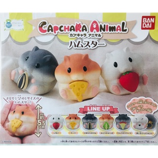 กาชาปอง Capchara Animal Fruit Hamster