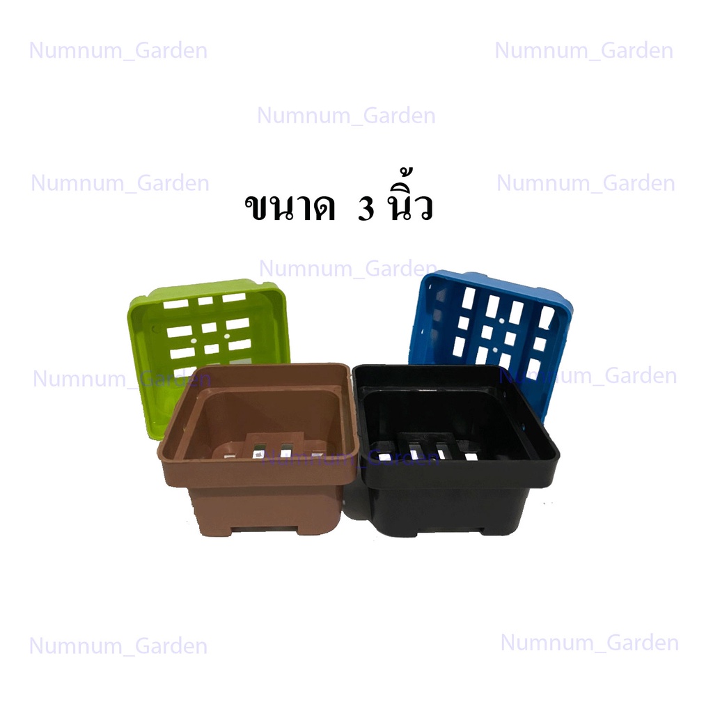 กระถางเหลี่ยม 3 นิ้ว กระถางต้นไม้ แคคตัส ทรงเหลี่ยมกระถางพลาสติก