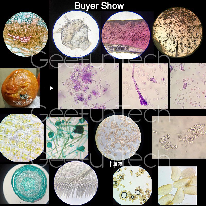 กล้องจุลทรรศน์ชีวภาพ 640-6000 เอ๊กซ์รุ่นโลหะเต็มรูปแบบพร้อมไฟแอลอีดี 4000 เอ็กซ์ 2,000-2400