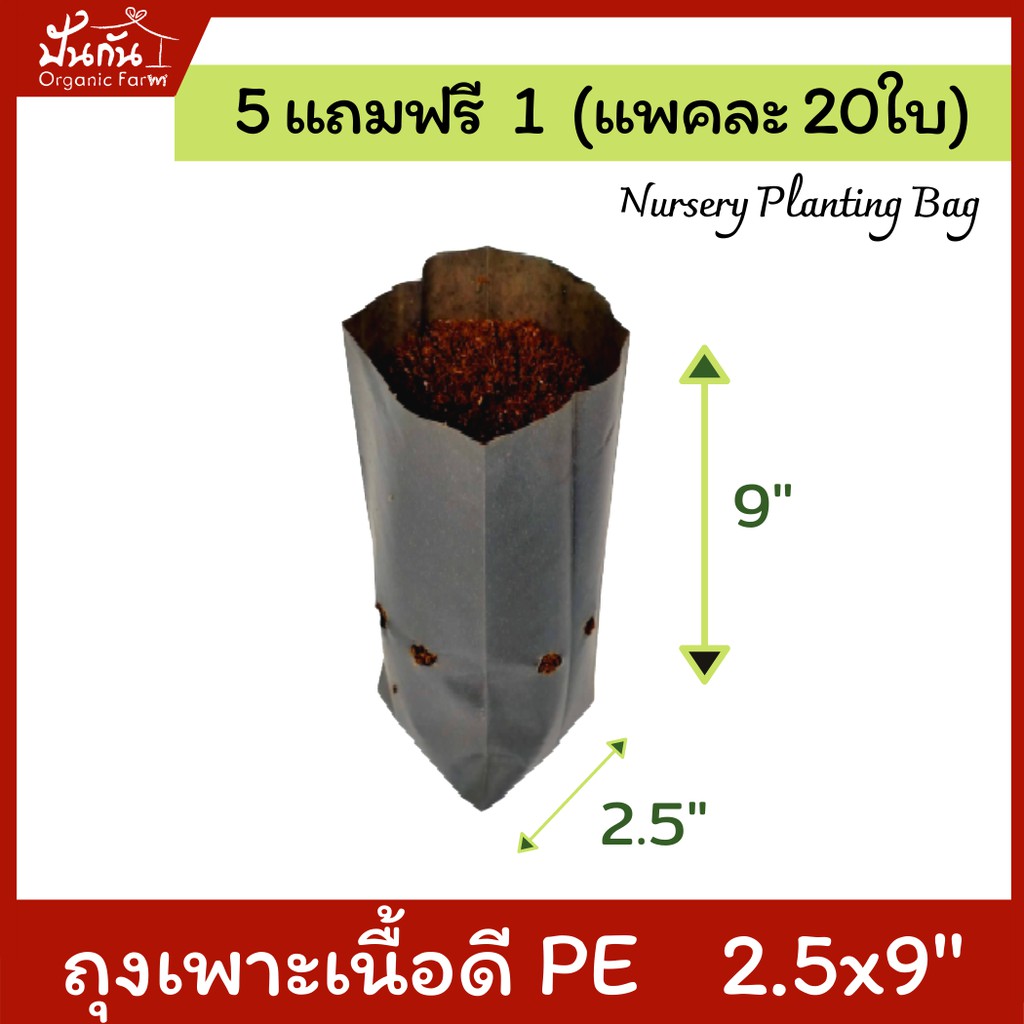 [5แถมฟรี1] ถุงปลูกต้นไม้ 2.5x9” ถุงเพาะชำ สีดำ เนื้อPE เหนียว เจาะรู แพคละ20ใบ [สั่ง5แพคแถมอีก1แพค] Nursery Planting Bag