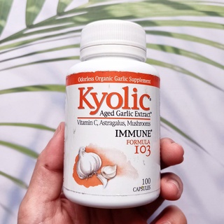 กระเทียมบ่มสกัดไร้กลิ่น  Kyolic, Aged Garlic Extract, Immune สูตร Formula 103 * 100 Capsules (Wakunaga)